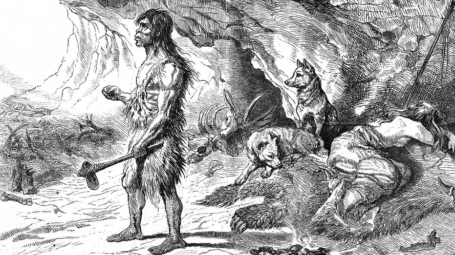 Dogs were 'loyal companions to Ice Age hunters' far earlier than believed, study finds Accountant Find